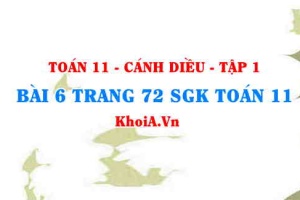 Bài 6 trang 72 SGK Toán 11 tập 1 Cánh Diều